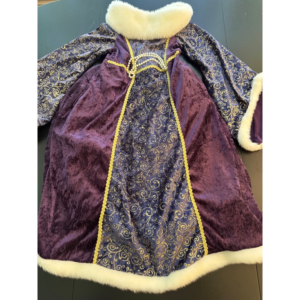 Medieval Renaissance Princess Gothic Costume Girls Size M 5-6 Purple Velvet
